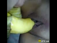 Thick amateur whore moans as she pushes peeled banana into her cunt in this insertion scene